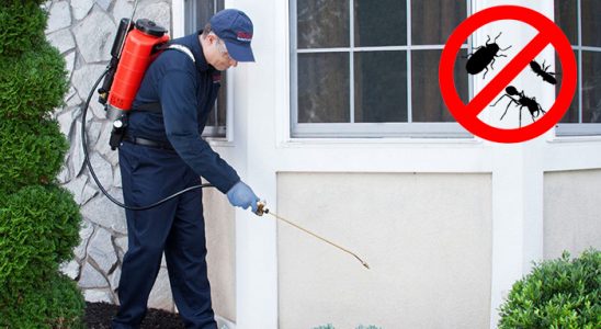 Yakutiye Gümüşkurt İlaçlama böcek ilaçlama ve haşere kontrolü — ilaclama-tr.com